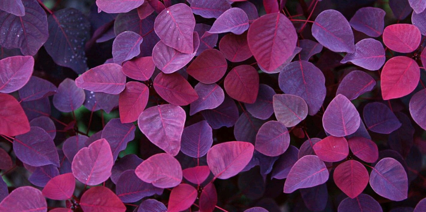 neerajK's profile banner image
