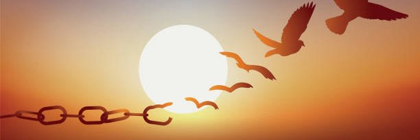 ProgLiberati's profile banner image