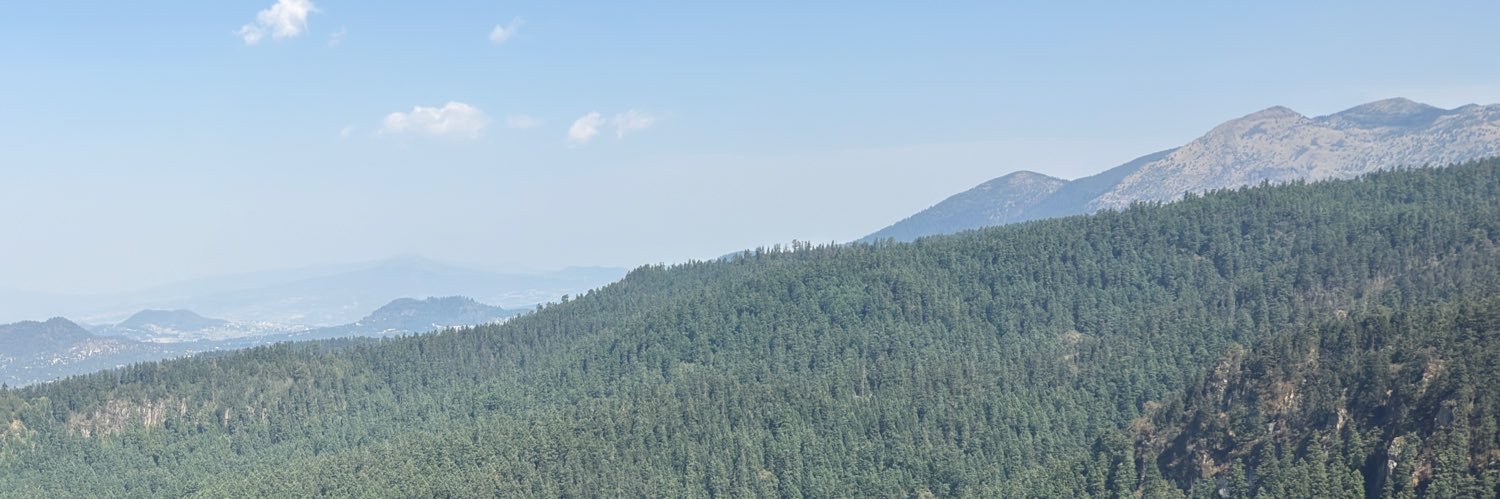 angelxts banner
