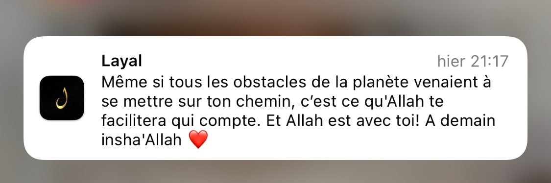 _shadouce's profile banner image