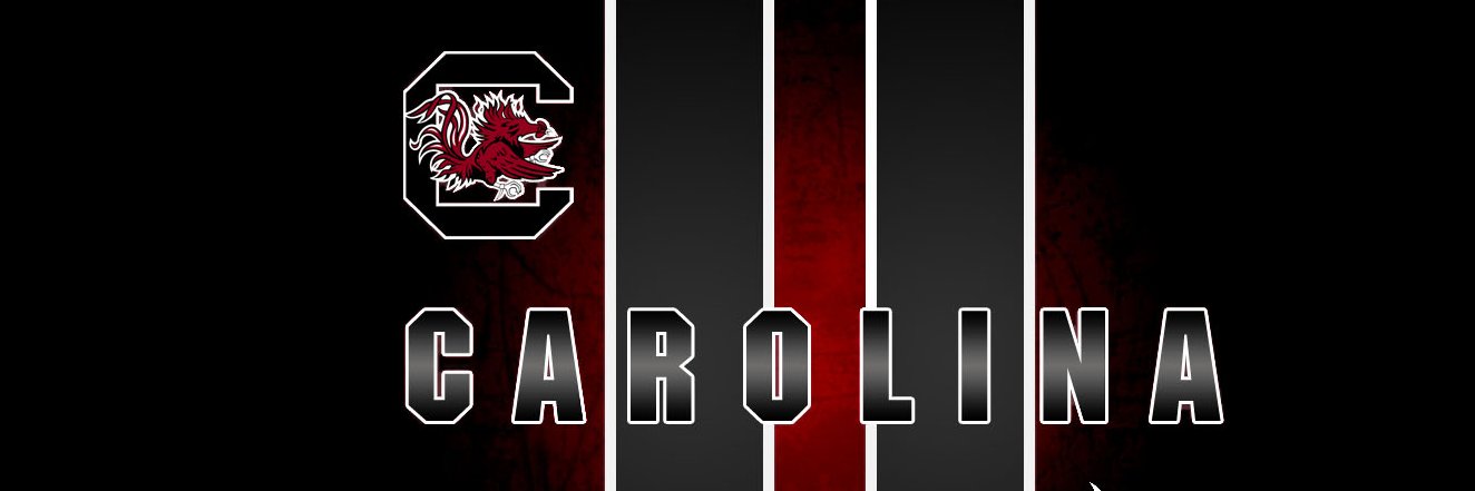 VocalGamecock's profile banner image