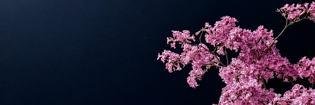 rorocxio's profile banner image
