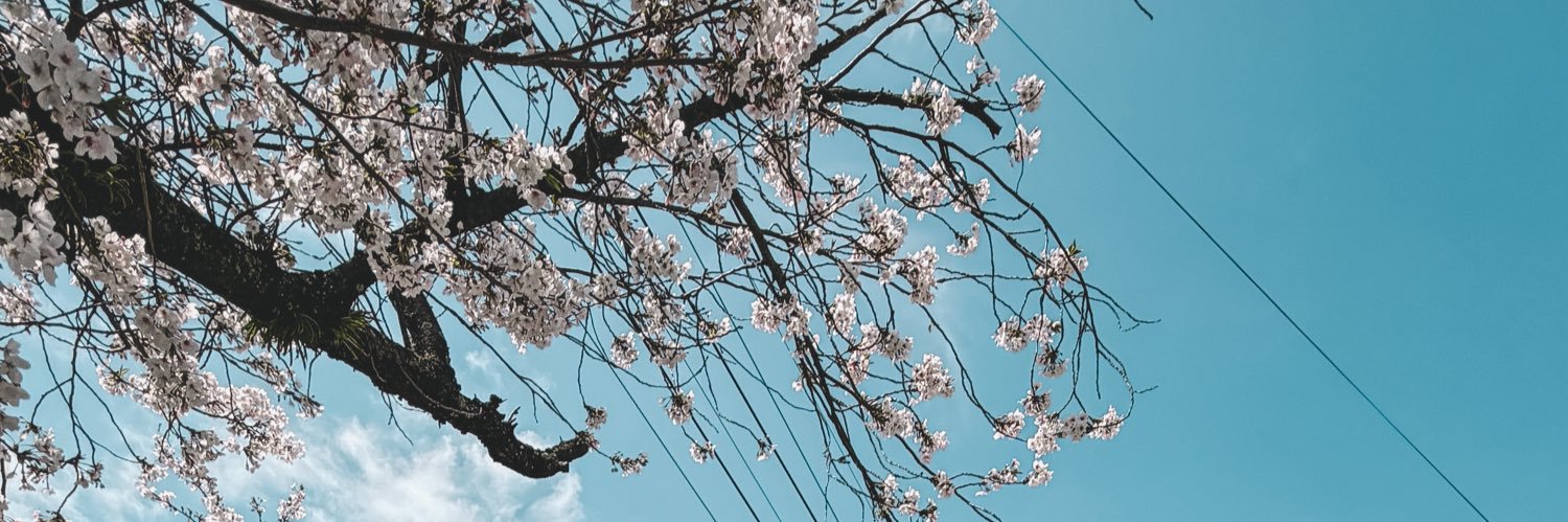Mint 🍂 banner