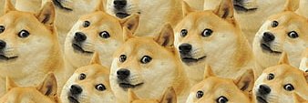 DreamTanksTV banner