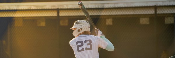 peteymalizzi23 Profile Banner