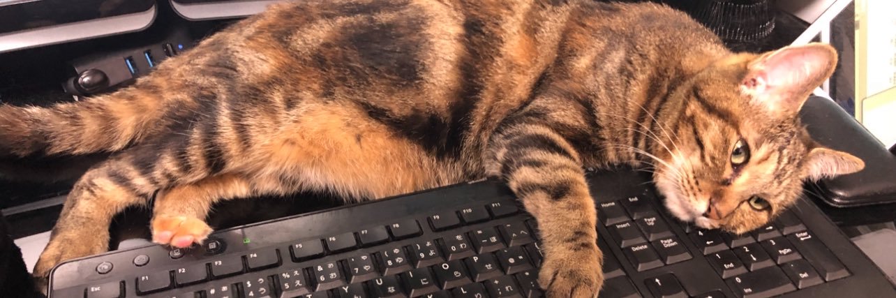 ぴーなつ@STEPN banner