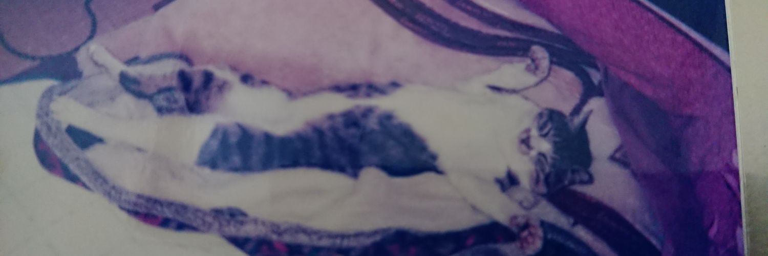 GarmPixy1's profile banner image