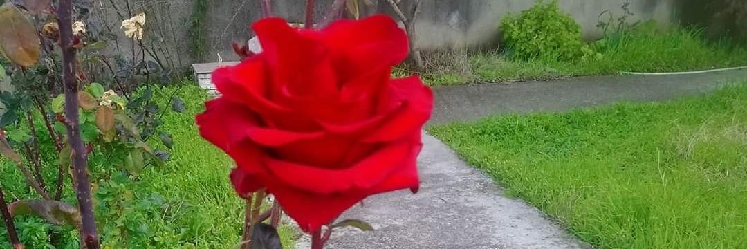 AggozSemizar's profile banner image