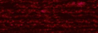 applekittie7's profile banner image