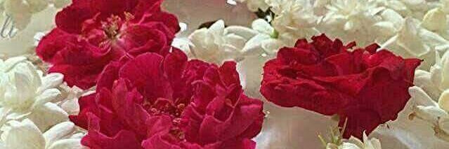 Muhamma45576212's profile banner image
