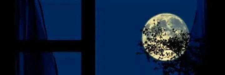 Marcedethomas's profile banner image
