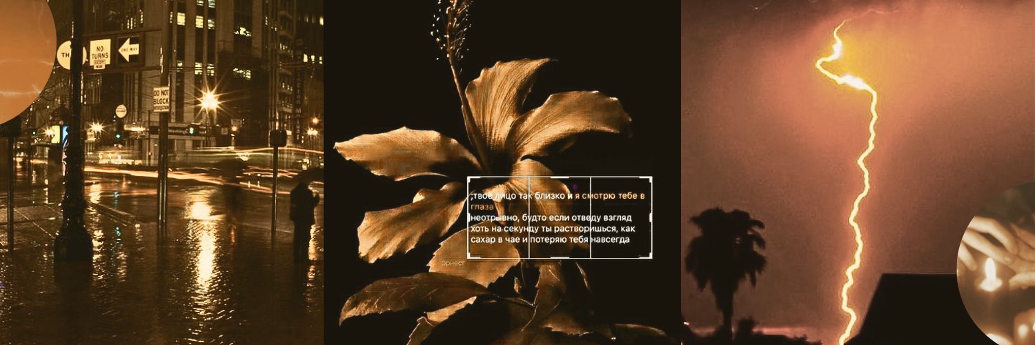 !! ⭑ elly .⭒ ݁ ˖ banner