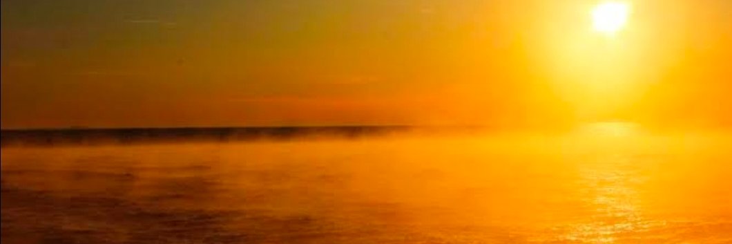 Ramya || Calm 🐬🐬 banner