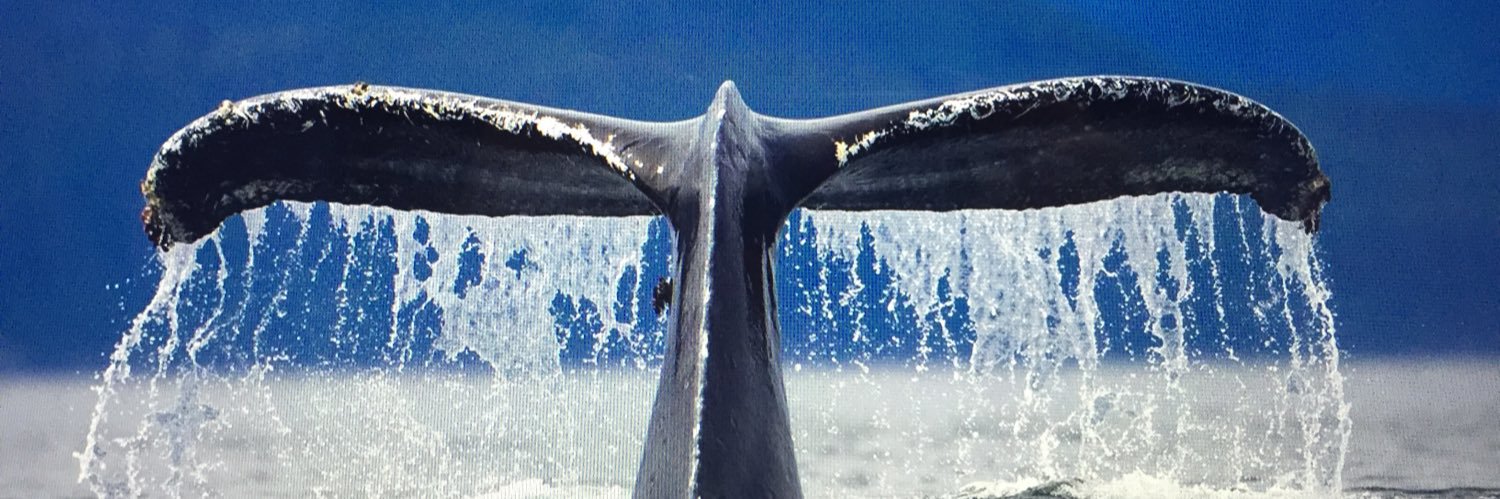 debwoolley's profile banner image