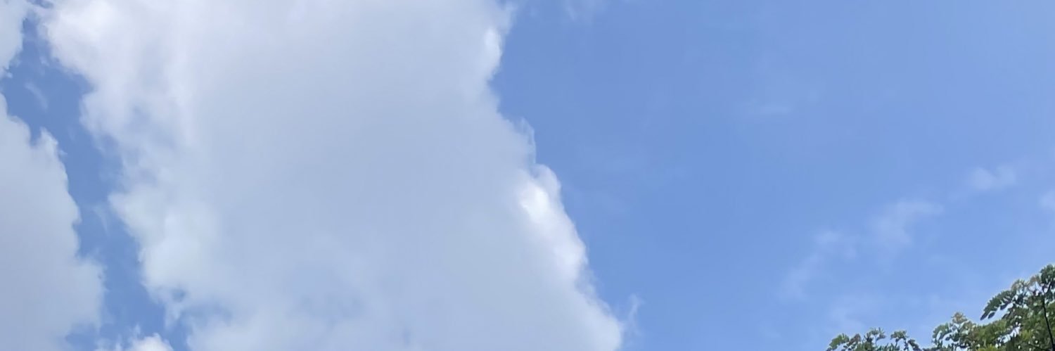 wangz99's profile banner image