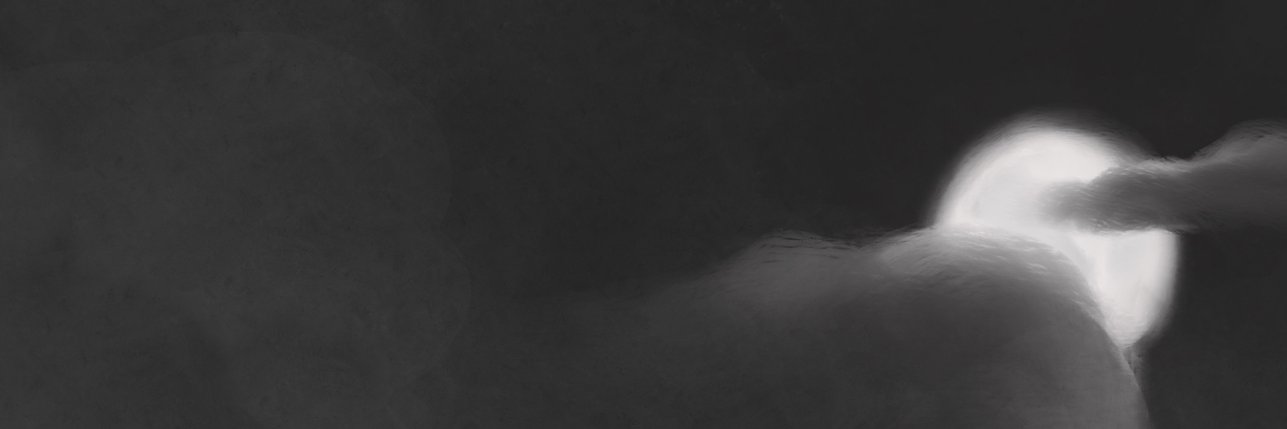 newt_ethos's profile banner image