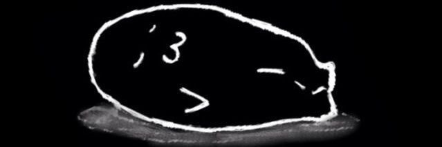 ancafe_sid's profile banner image