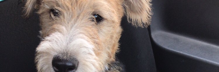 Luuzcontreras's profile banner image