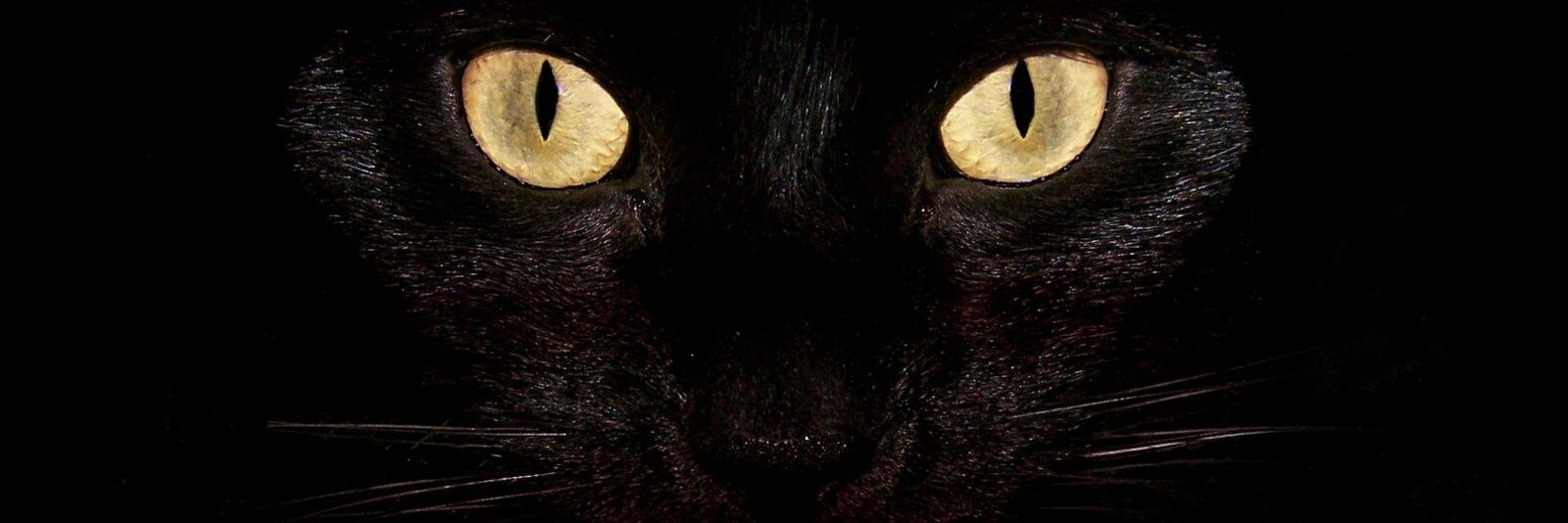 GABXE's profile banner image