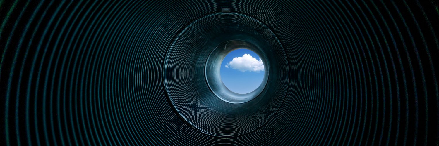 D i s c i p l i n e d - W o l f 🐺 banner