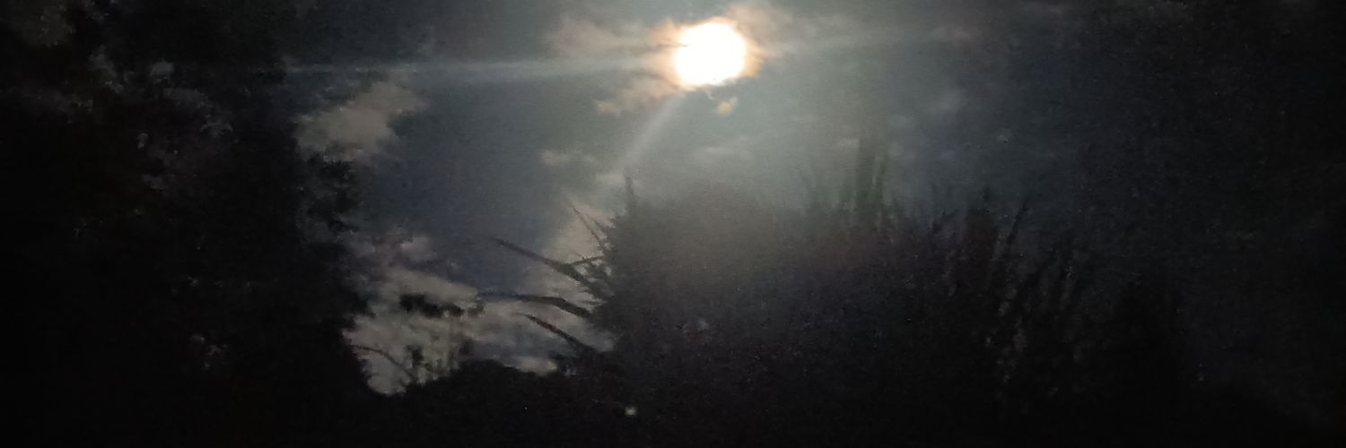 marioospm's profile banner image