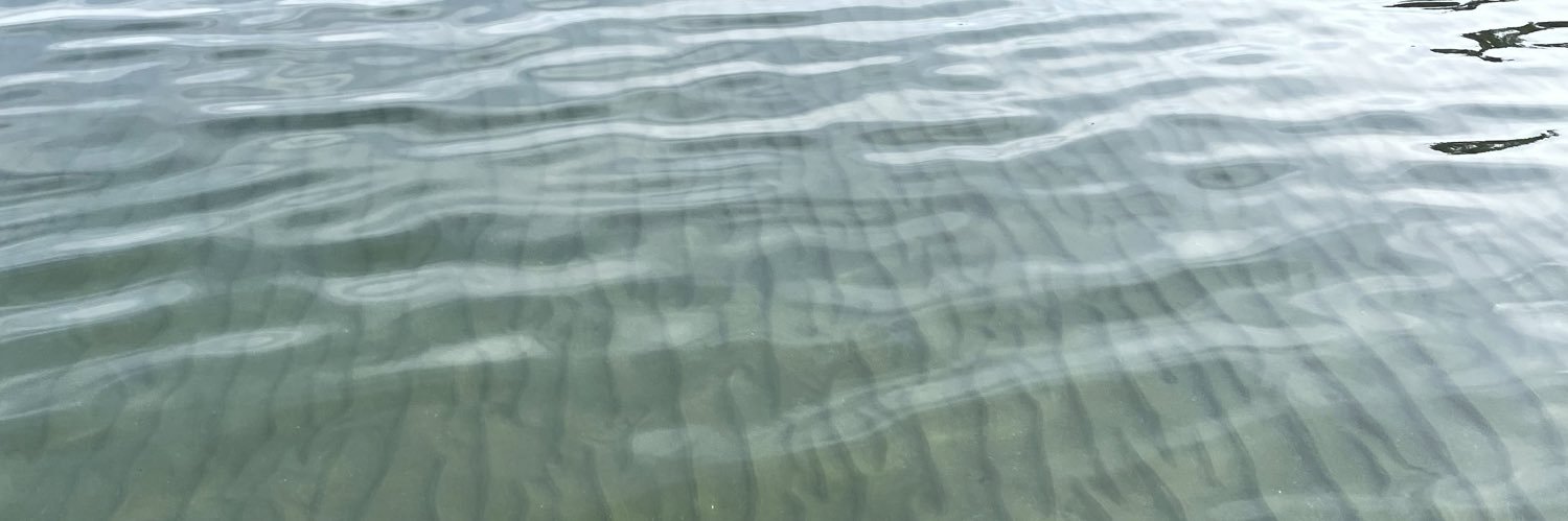 なぎは@なんでも垢 banner