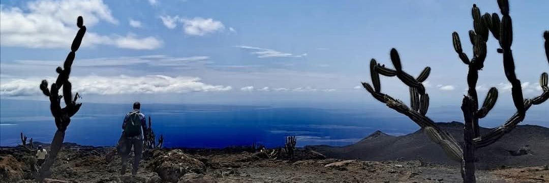 🇮🇪🛡 | Mac | 🛡🇸🇻 banner