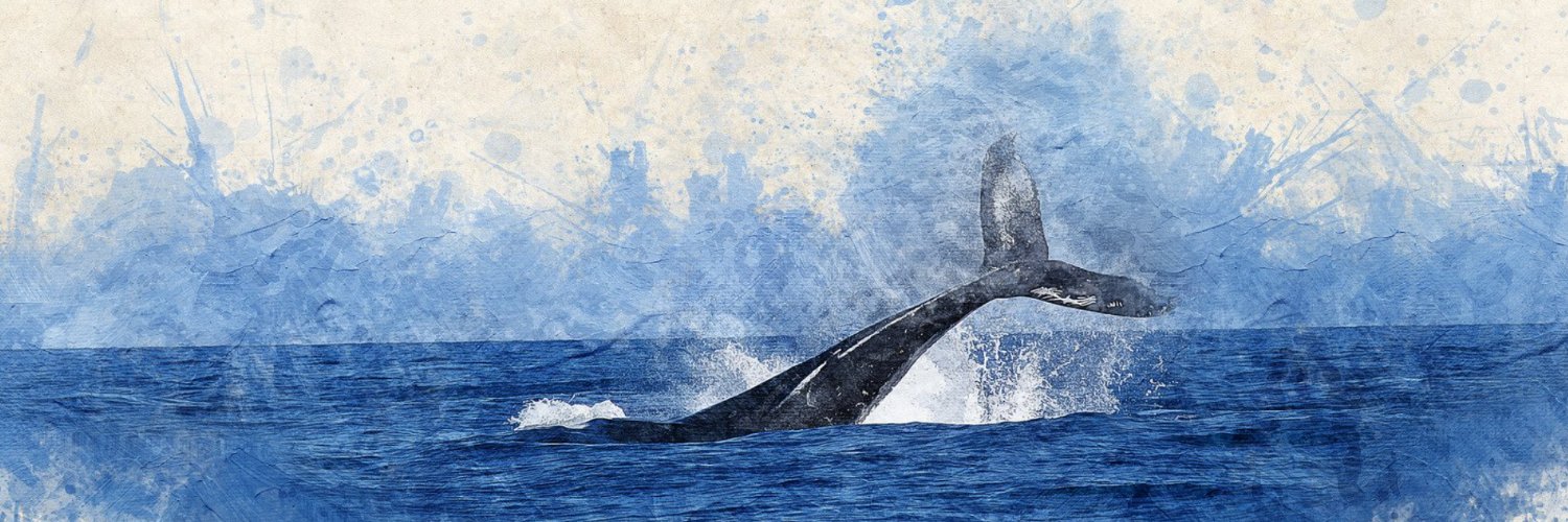 No BS Web3 🦇🔊 banner