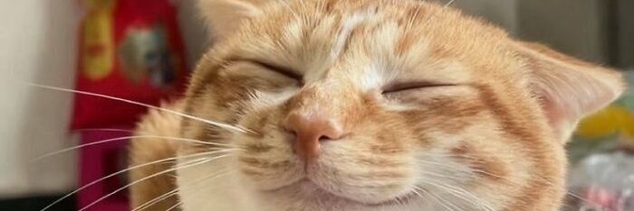 spacepandaUwU🇧🇻 banner