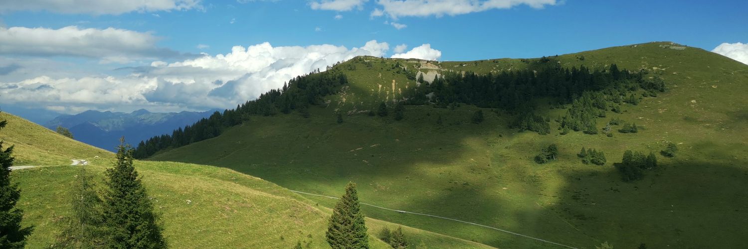 marcolevo's profile banner image