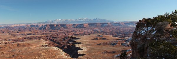 toraneko0817 Profile Banner