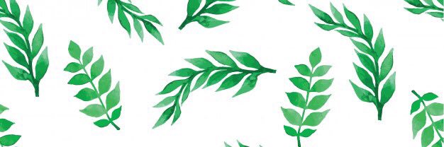 belucapria's profile banner image