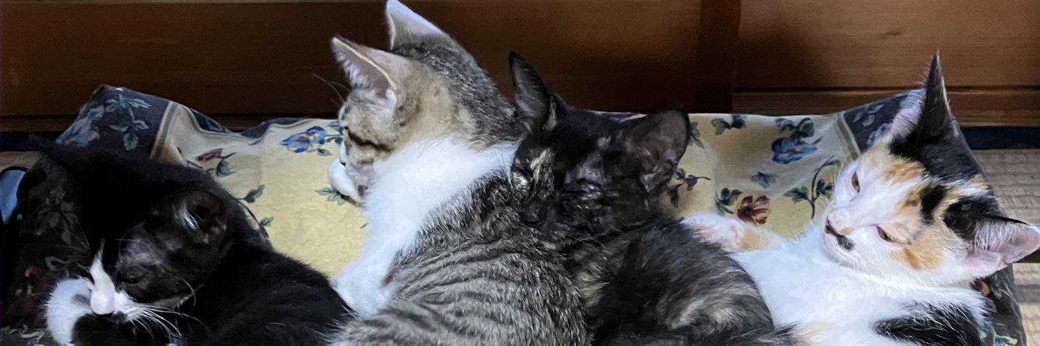 KLKR@OxCxHxCx banner