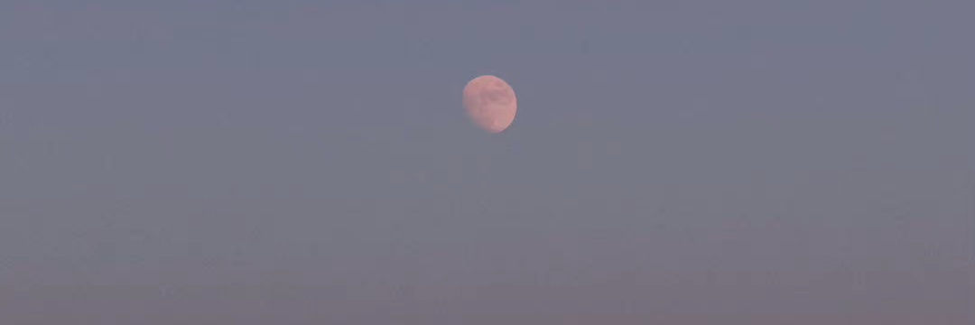 tiktik banner
