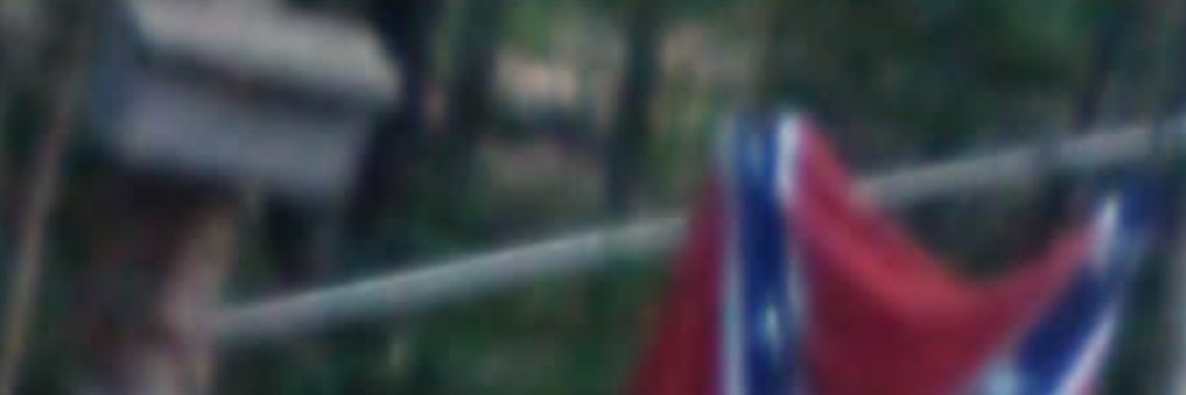MVD Secret Wolf Bellamy Salutes Mein Fatherland. banner