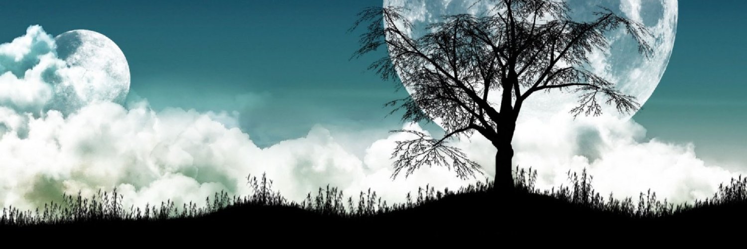 vala_jay15's profile banner image