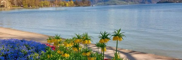 SiddikaShanaz Profile Banner