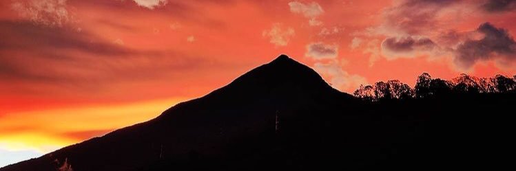 sedacaracas's profile banner image