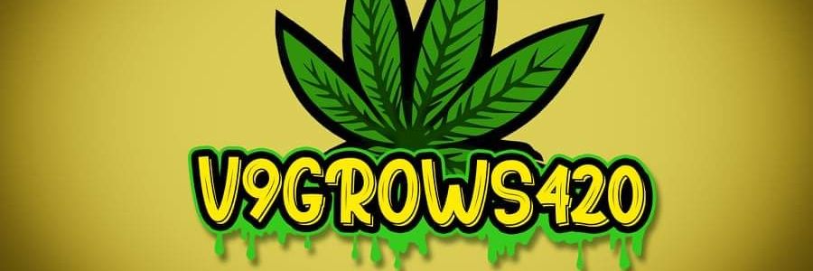 V9Grows420's profile banner image