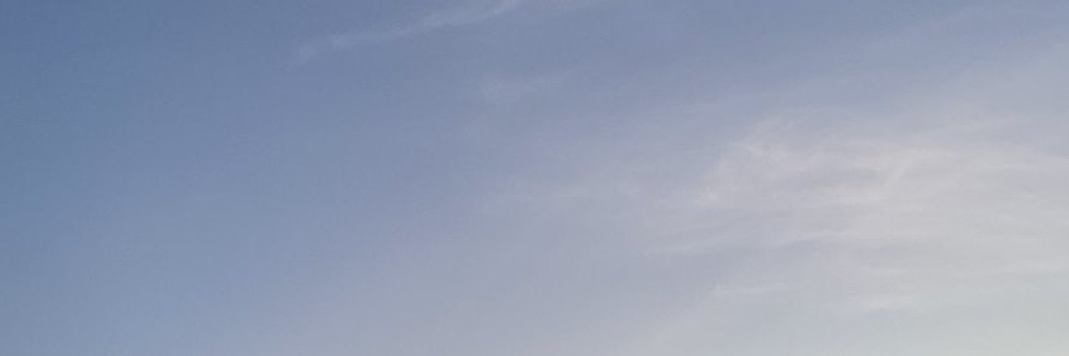 idkjuulia's profile banner image
