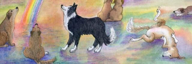 Lilly_Daisy2's profile banner image