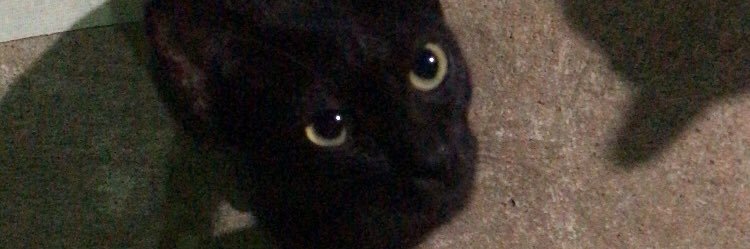 พว banner
