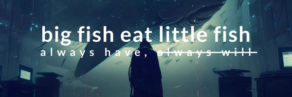 littlefish Foundation Profile Banner