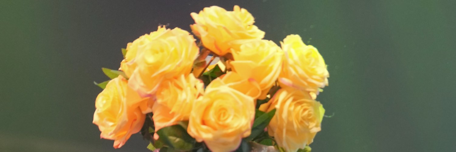쨈 보관함 banner
