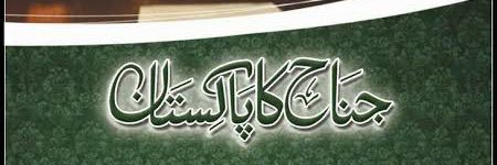 Alina Shigri's banner