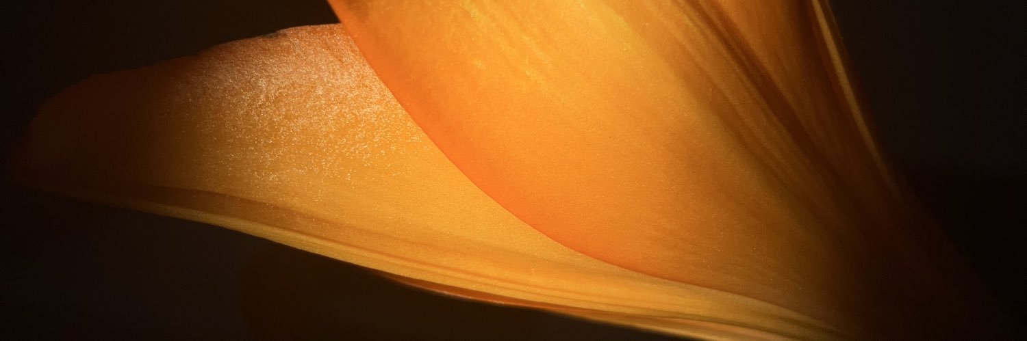 ivorkovic's profile banner image