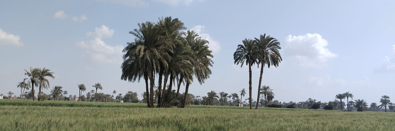 𝑴𝒐𝒉𝒂𝒎𝒆𝒅 𝑨𝒍 𝑶𝒓𝒇𝒊 banner