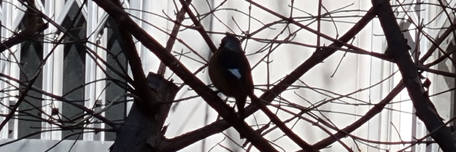 zinzin19🫎🟢STABLE | ETHGas ⛽💢🐐 banner