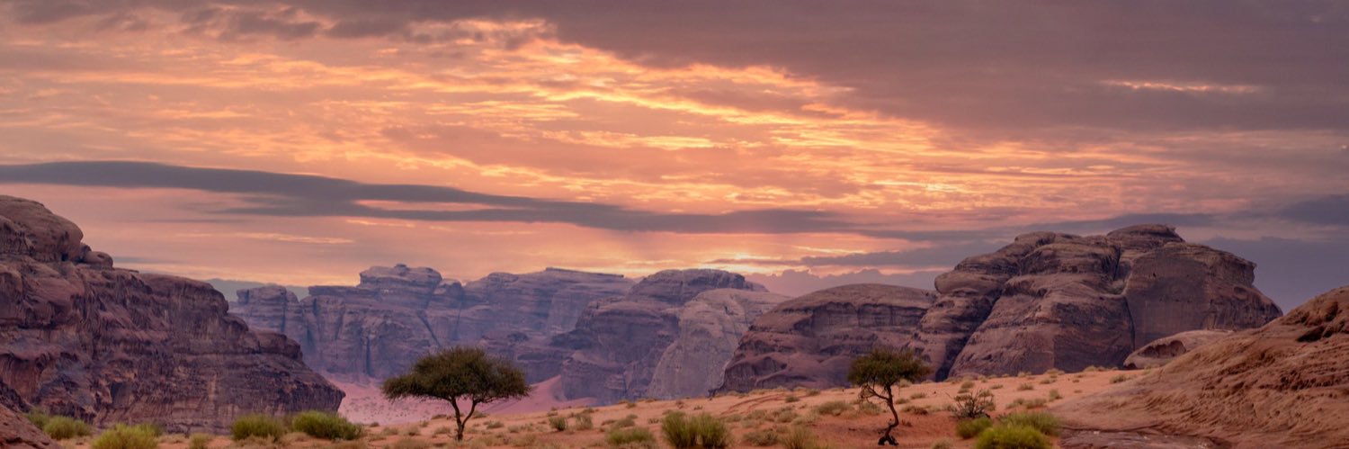 المتفائل : بطل النخبة 🏆🤍💚🎊🇸🇦 banner