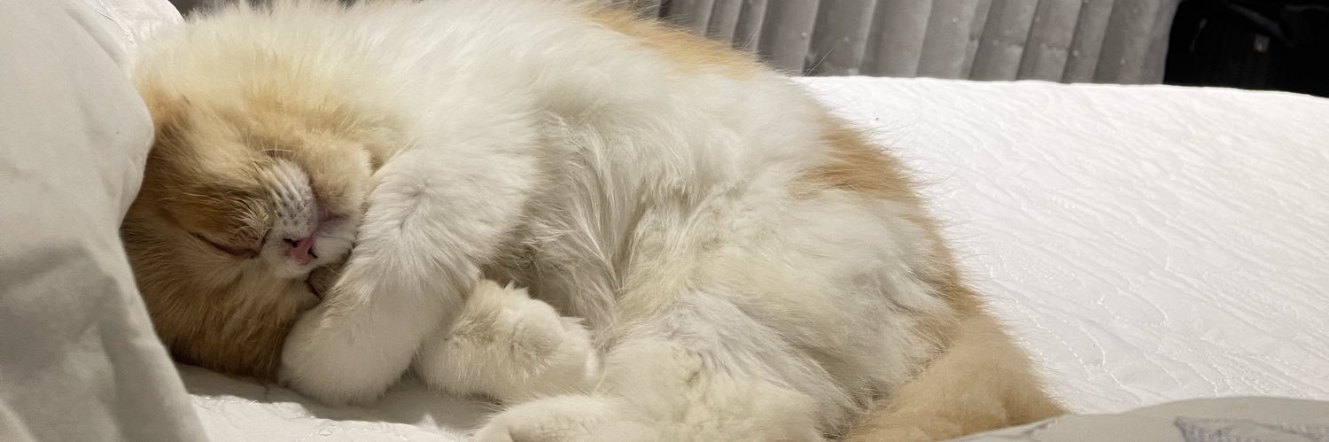 Musa Renascentista banner